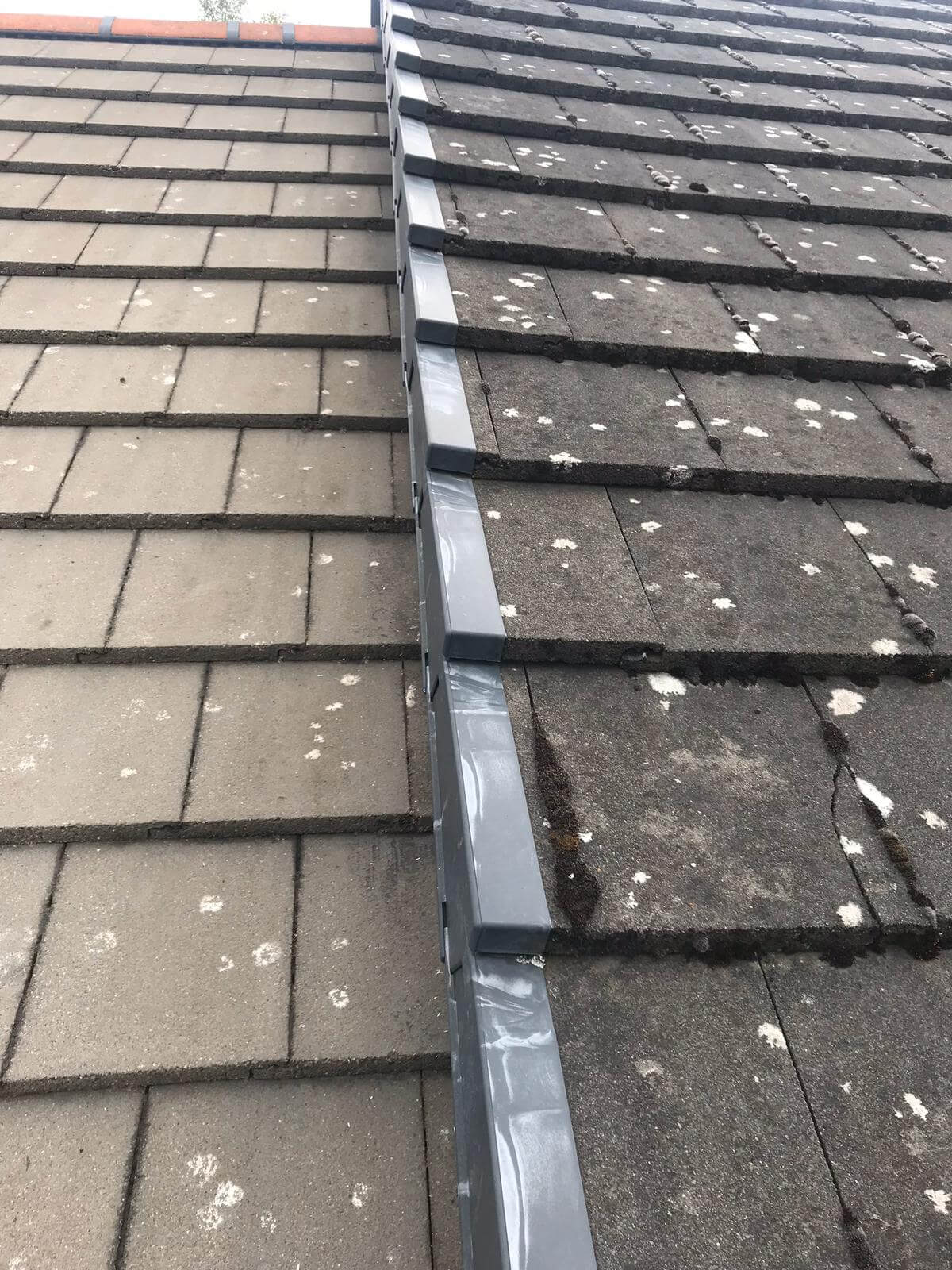 Moss Removal from Exterior Cleaning Services Ltd