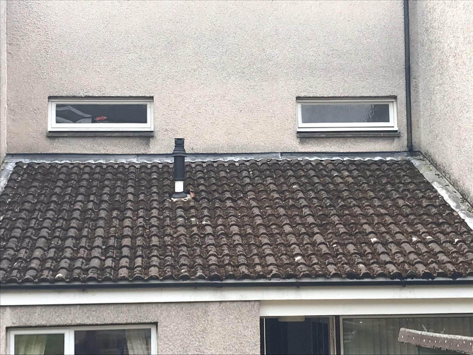 Moss Removal from Exterior Cleaning Services Ltd