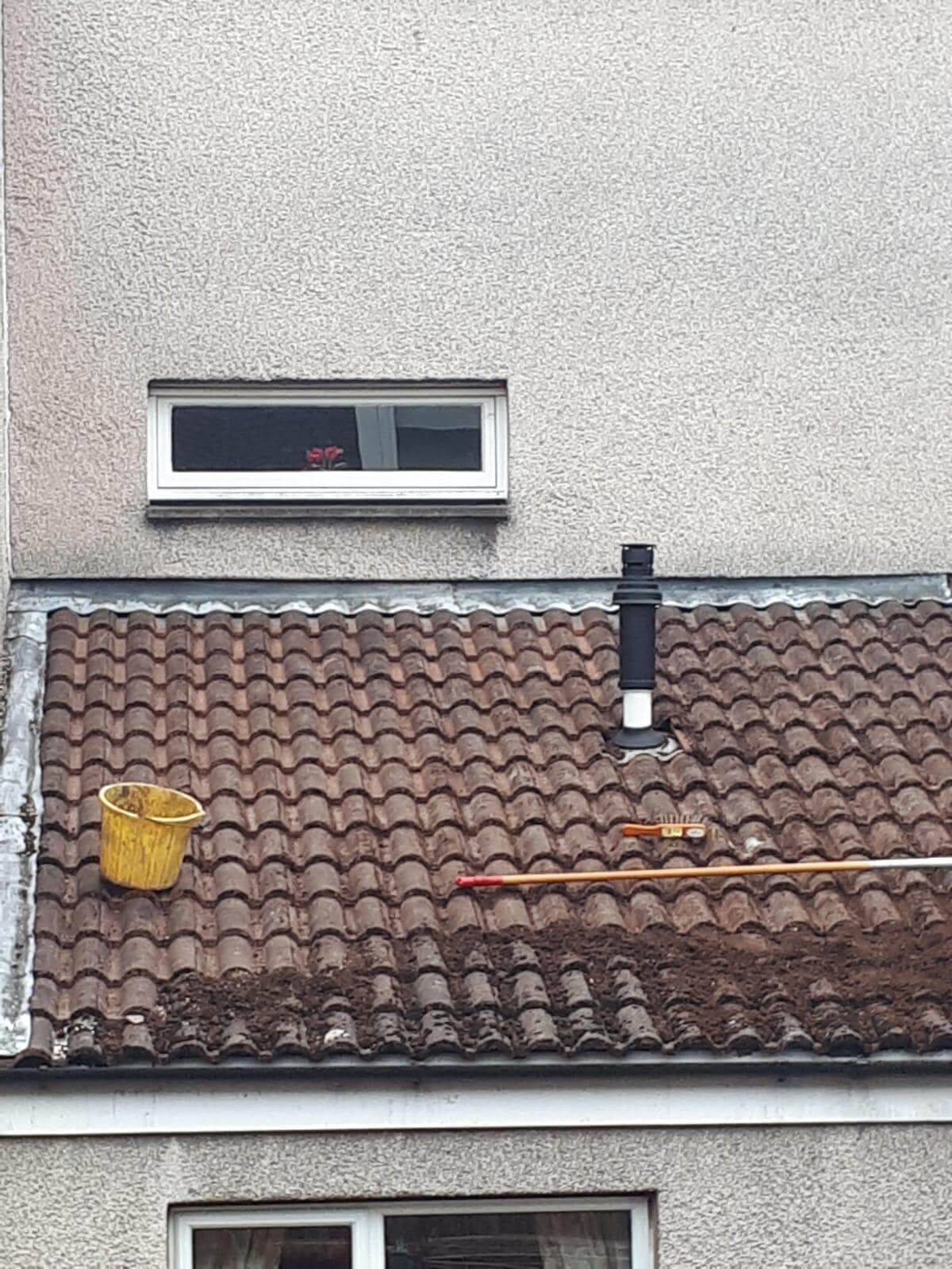 Moss Removal from Exterior Cleaning Services Ltd