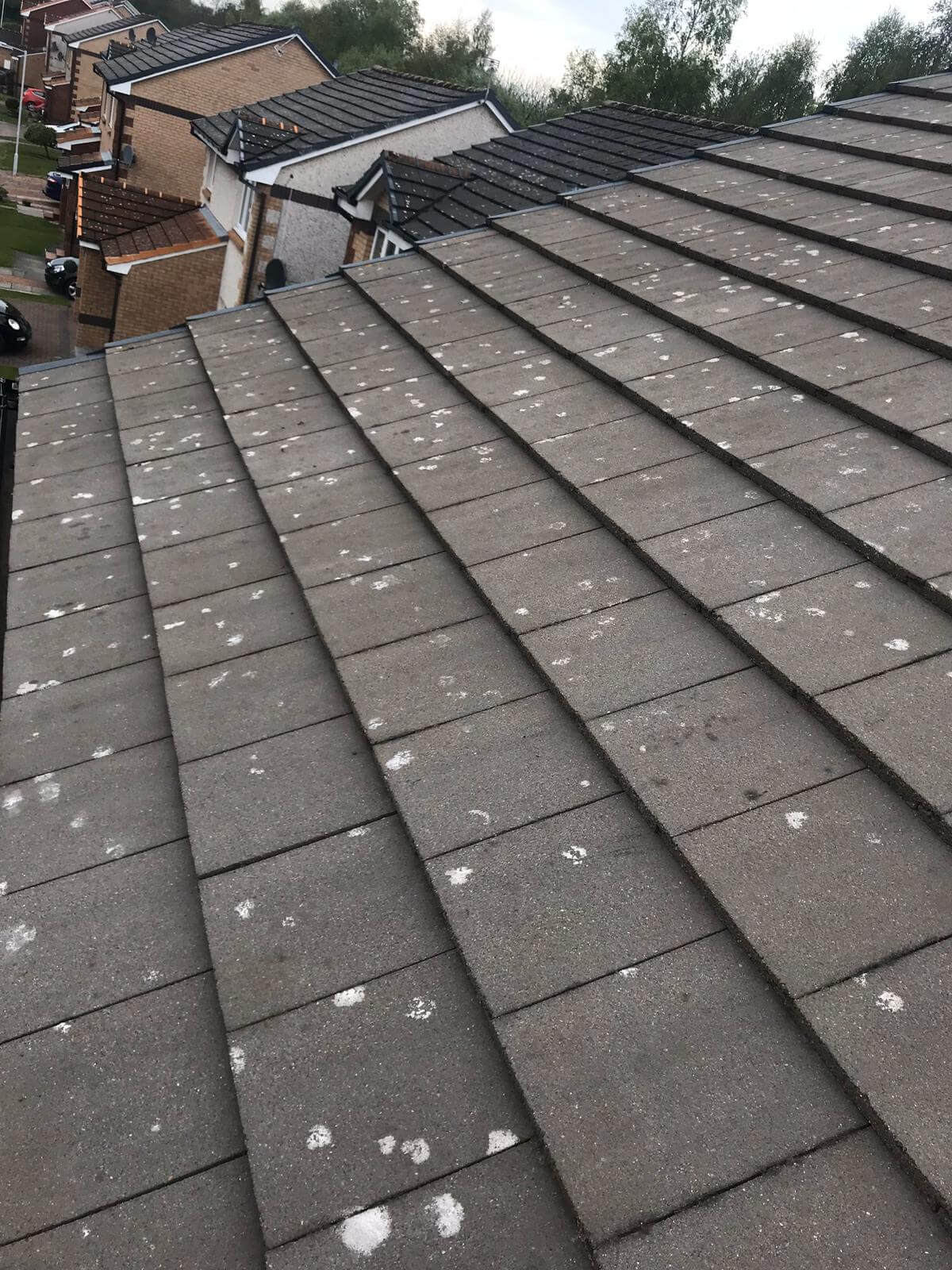 Moss Removal from Exterior Cleaning Services Ltd