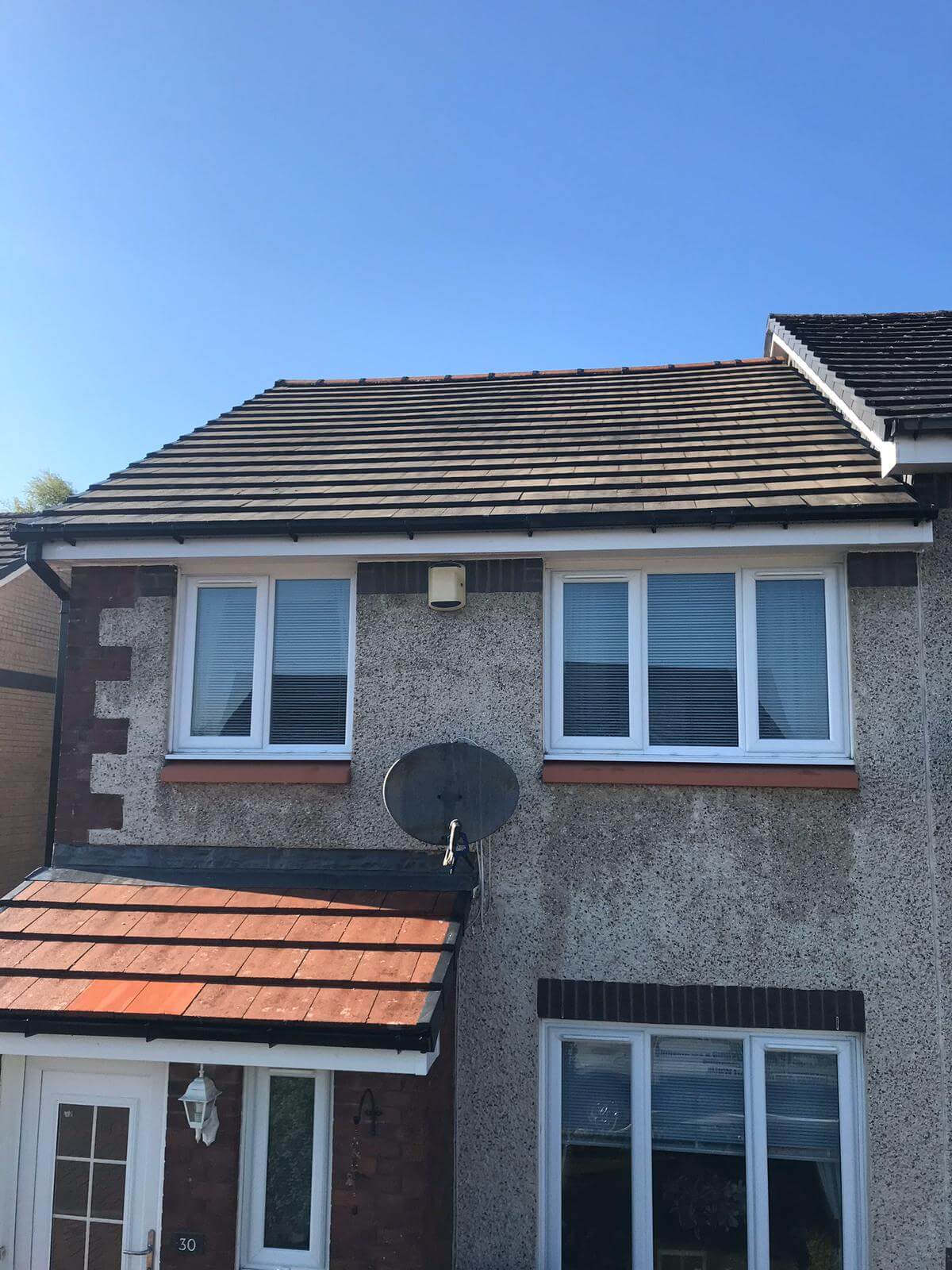 Moss Removal from Exterior Cleaning Services Ltd