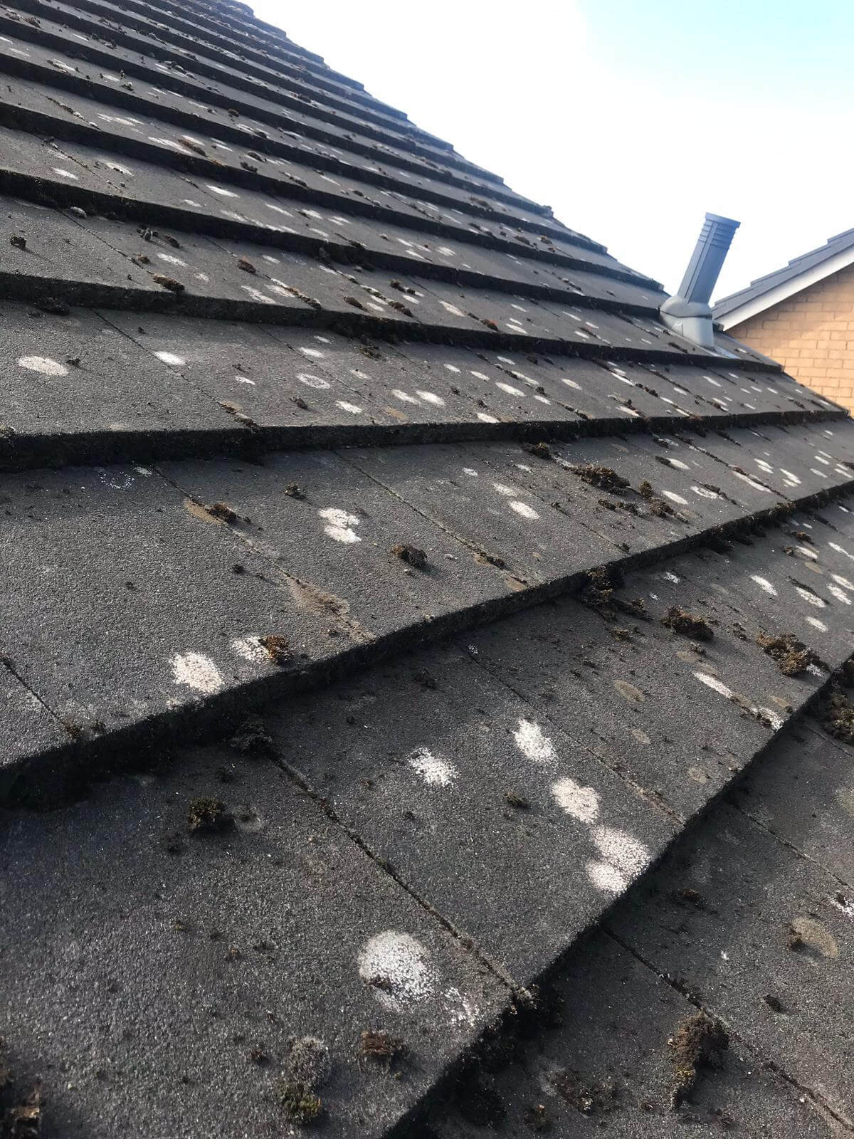 Moss Removal from Exterior Cleaning Services Ltd