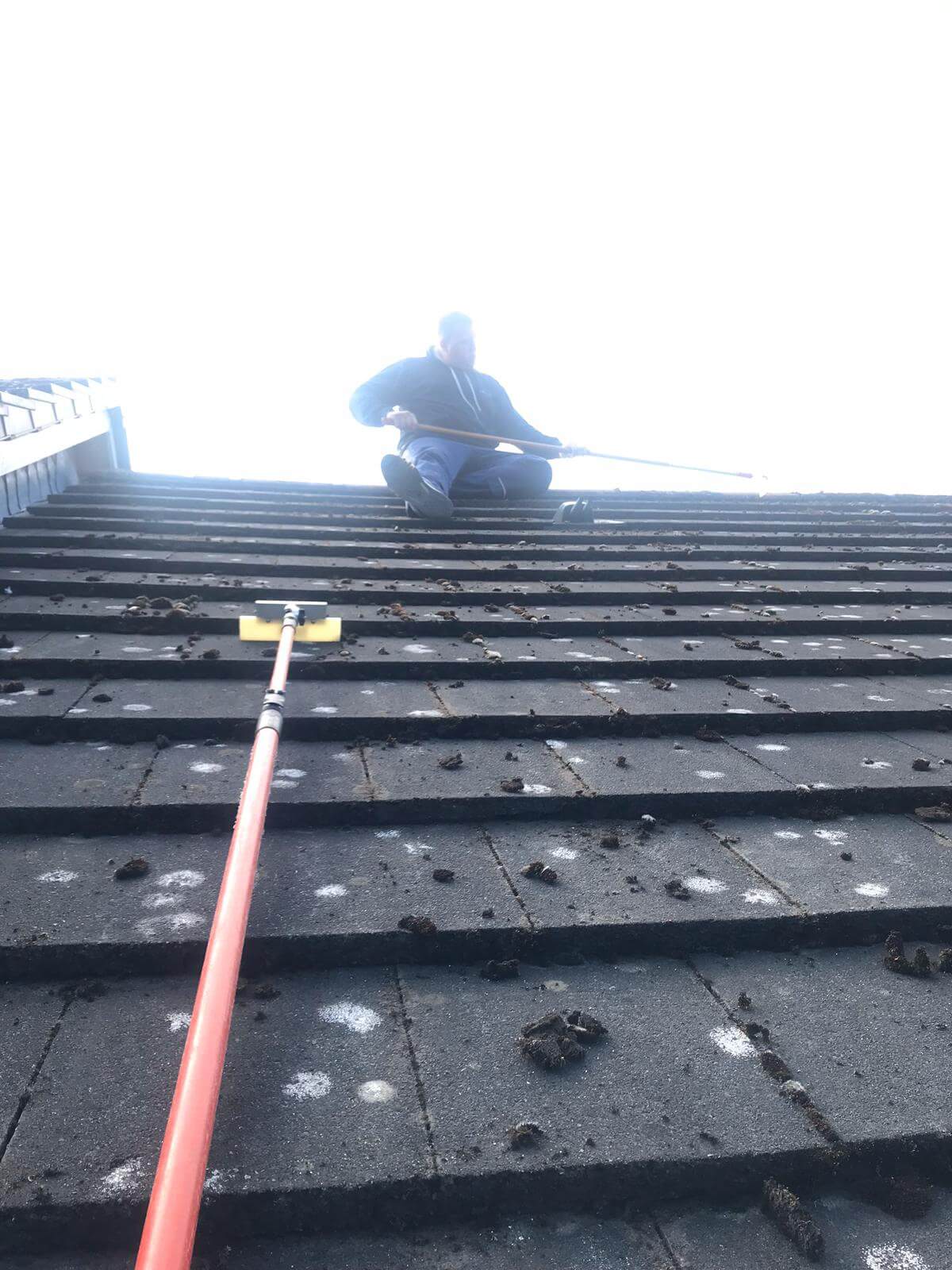 Moss Removal from Exterior Cleaning Services Ltd