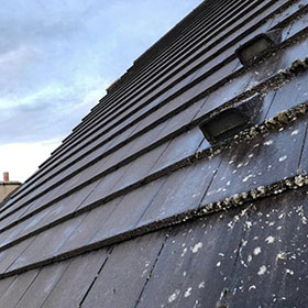 Fife Exterior Cleaning - Roof Cleaning Services