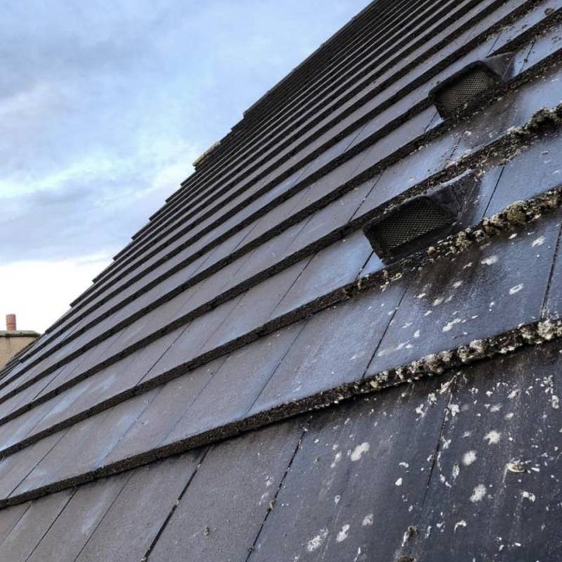 Roof Cleaning Services fromn Exterior Cleaning Services Ltd in Dunfermline