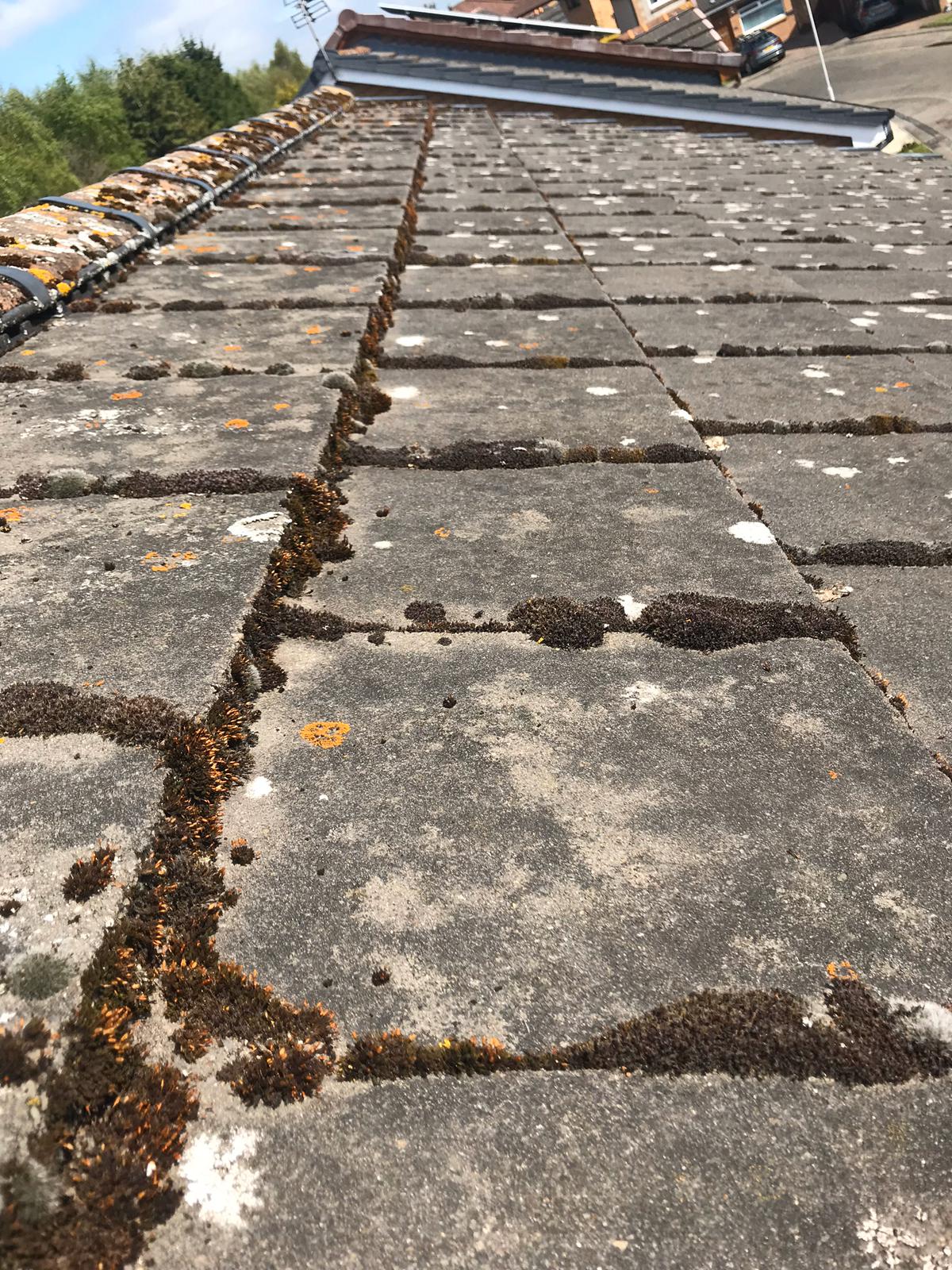 Roof Cleaning Services fromn Exterior Cleaning Services Ltd in Dunfermline