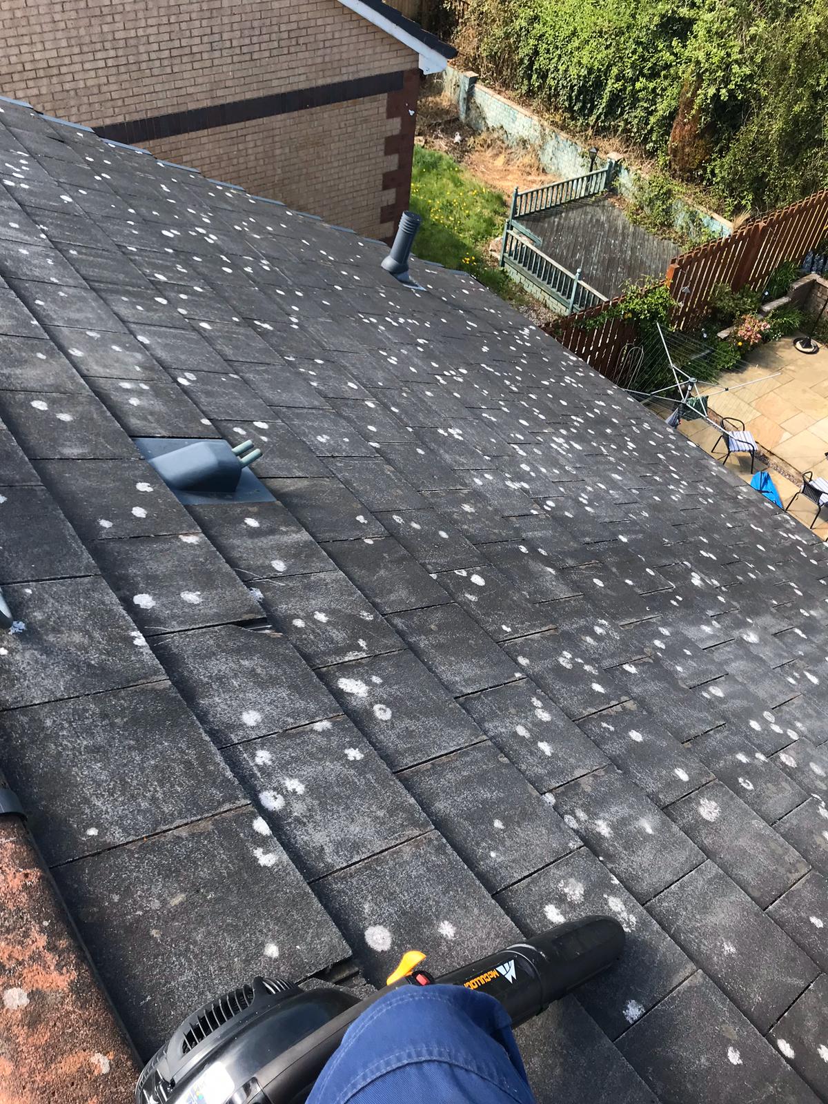 Roof Cleaning Services fromn Exterior Cleaning Services Ltd in Dunfermline